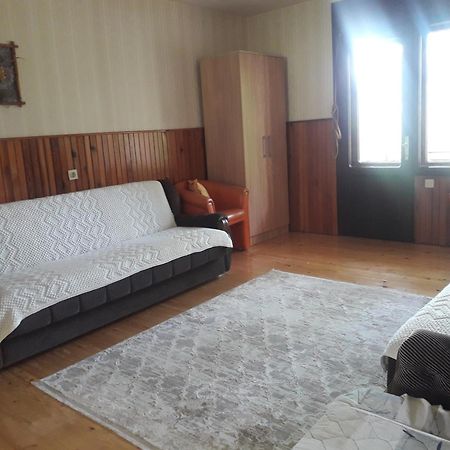Vila Trtovic Nova Varoš Dış mekan fotoğraf