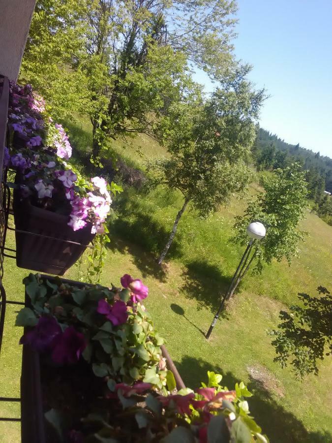 Vila Trtovic Nova Varoš Dış mekan fotoğraf