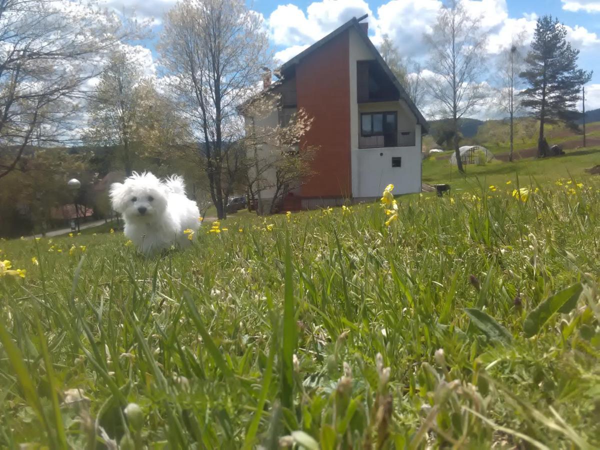 Vila Trtovic Nova Varoš Dış mekan fotoğraf